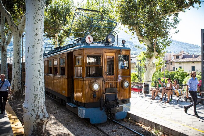 Half Day Guided Tour in Soller Train and Tram - Is $68.69 good value?