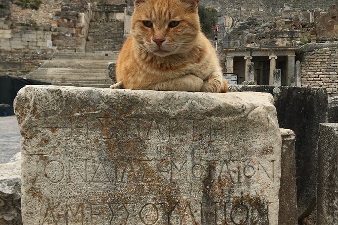Half Day Şirince Village and Artemis Temple and Train Museum - Selçuk carpets and leather after the museum