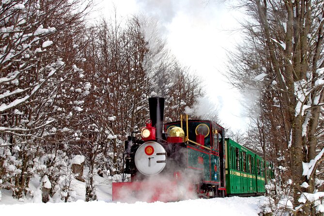 Half-Day Tierra del Fuego National Park with Train - Why the prisoner train still matters
