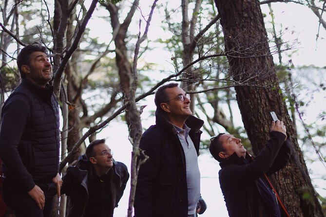 Half-Day Tierra del Fuego National Park with Train - Guides, timing, and the practical details