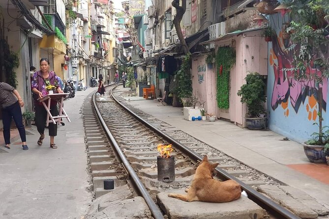 Hanoi Michelin Star Street Food Walking Tour & Train-Street - Eel noodles at Mien Luon Dong Thinh