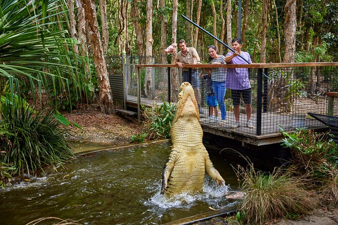 Hartley Crocodile Park with Kuranda, Skyrail Cableway and Train - The Kuranda Scenic Railway brings the return journey to life