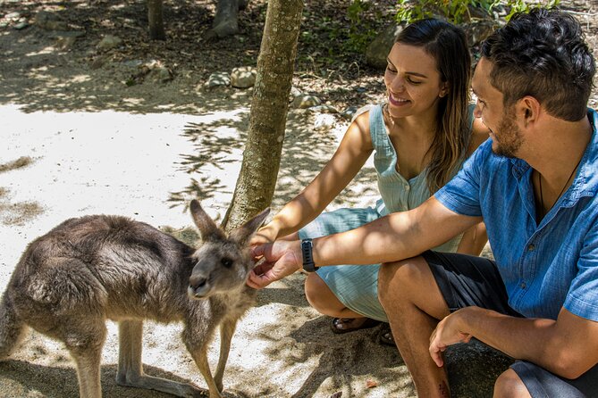Hartley Crocodile Park with Kuranda, Skyrail Cableway and Train - What the $200.83 price really covers