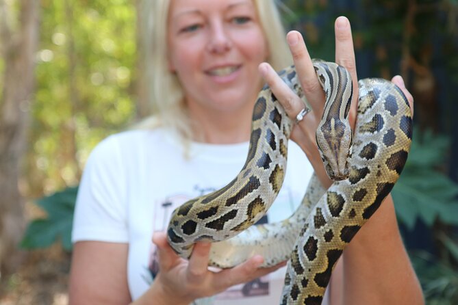 Hartley Crocodile Park with Kuranda, Skyrail Cableway and Train - The practical details that affect your comfort