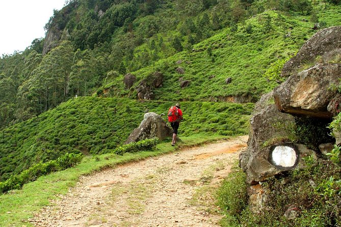 Horton Plains National Park Tour With Scenic Train Ride - Why Horton Plains makes a worthwhile day trip