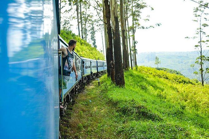 Horton Plains National Park Tour With Scenic Train Ride - The return to your hotel