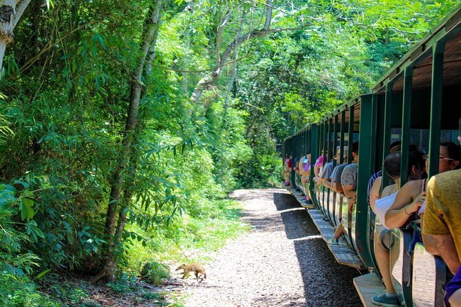 Iguazu Falls: Argentinian Side with Boat Ride, Jungle-truck and Train - The Gran Aventura boat ride: prepare to be soaked