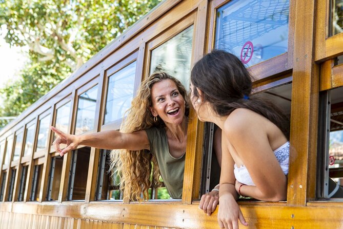 Island Tour with Train Tram Boat and Bus from Cala Millor - Group Size, Timing, and Comfort