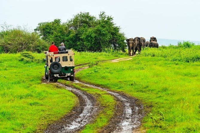 Kandy to Nanu Oya train ride on (Train No: 1005 "Podi Menike") - Who will enjoy this journey most?
