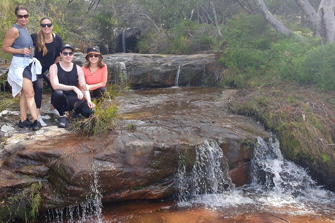 Koala & Kangaroos Experience, Waterfalls and Scenic Train Journey - What the private guide adds