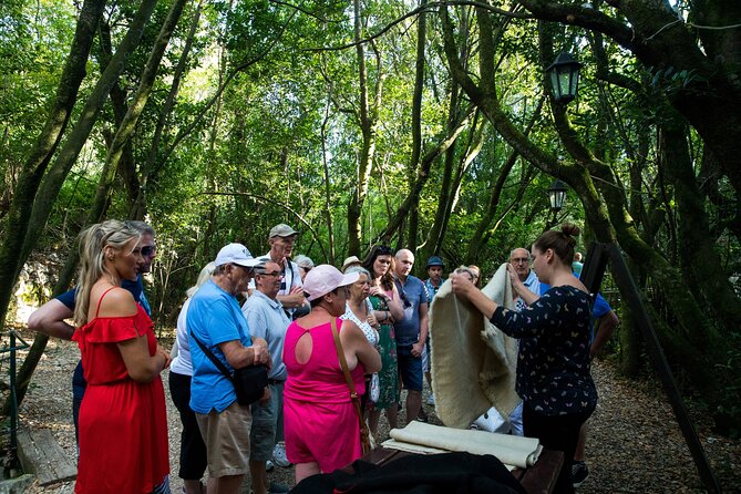 Konavle Valley Wine Tour from Dubrovnik with Train Ride and Wine Tasting - Đivanović water mill and the old rural trades