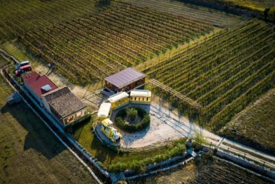 Konavle Valley Wine Tour from Dubrovnik with Train Ride and Wine Tasting