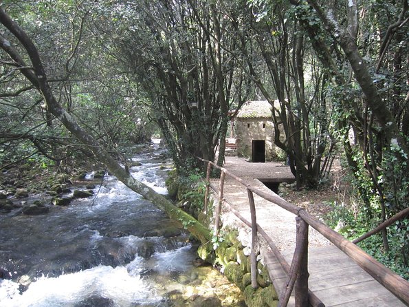 Konavle Valley Wine Tour from Dubrovnik with Train Ride and Wine Tasting - How the price works out at $96.12