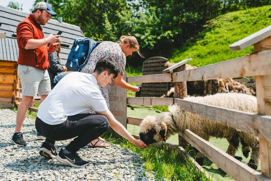 Krakow: Zakopane One Day Trip with Funicular & Thermal Pools - Key points at a glance
