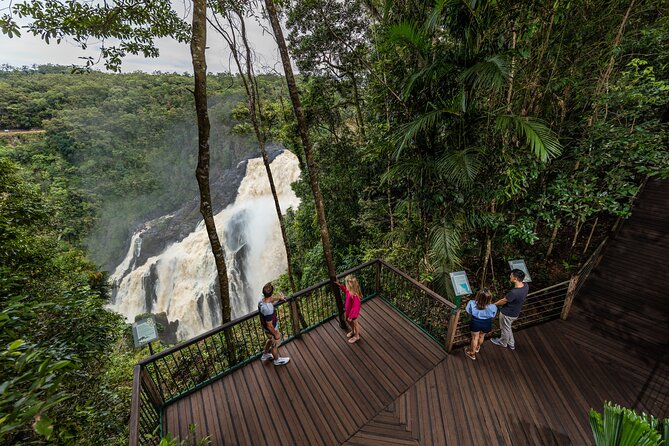 Kuranda, Scenic Rail, Skyrail and Hartley's Crocodile Adventures - Skyrail above the Barron Gorge rainforest
