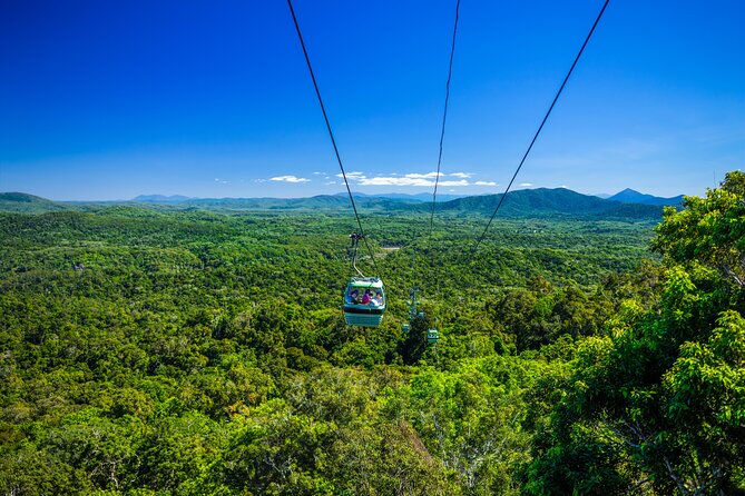 Kuranda, Scenic Rail, Skyrail and Hartley's Crocodile Adventures - Hartley’s Crocodile Adventures and the wetlands cruise