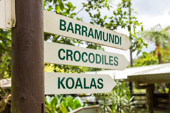 Kuranda Scenic Railway Day Trip from Cairns - Skyrail’s canopy views and two useful stops