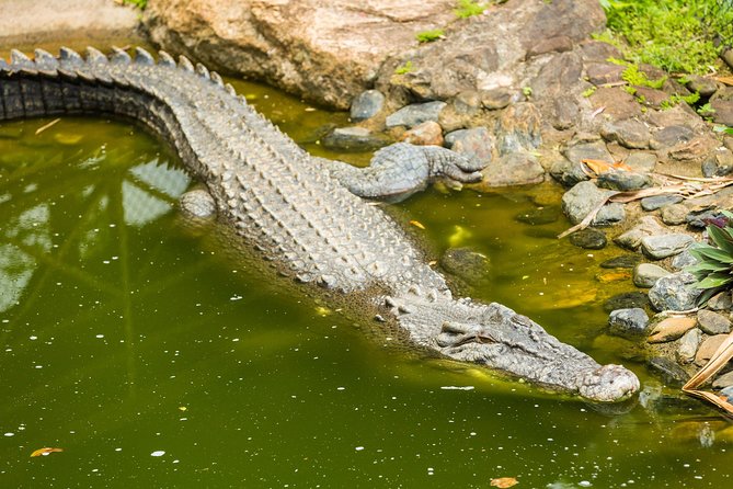 Kuranda Scenic Railway Day Trip from Cairns - Choosing among Kuranda’s optional attractions