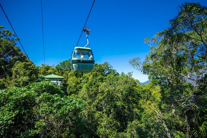 Kuranda Scenic Railway Day Trip from Palm Cove - The best part is the train and cableway combination