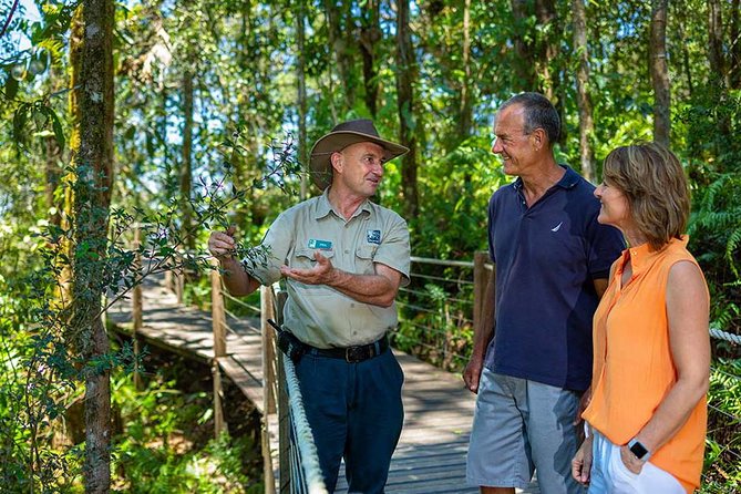 Kuranda Scenic Railway Day Trip from Palm Cove - Timing, comfort, and common snags