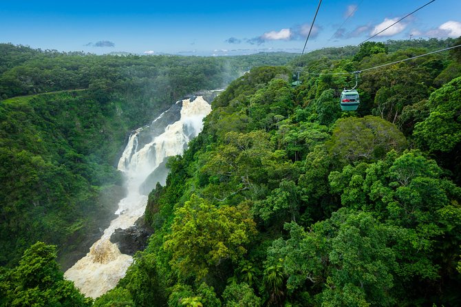 Kuranda Village, Army Duck Tour with Train and Skyrail (KDB) - A full rainforest circuit from Cairns
