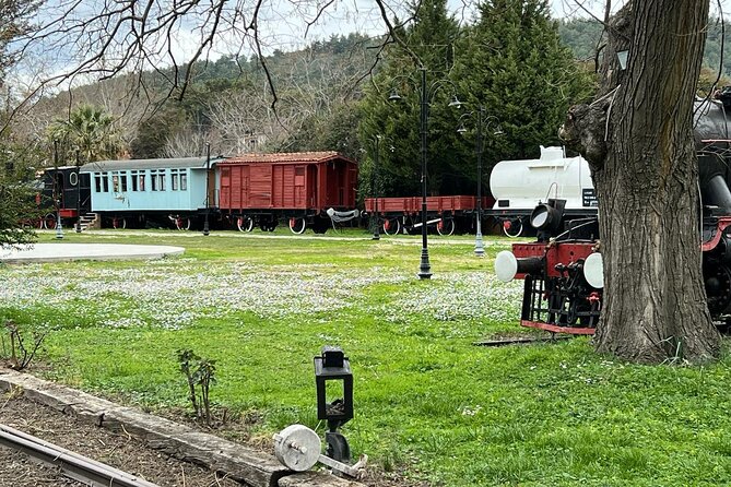 Kusadasi Day Trips Magnesia, Train Museum Turkish Bath - The rug workshop, lunch, and a cultural sales stop