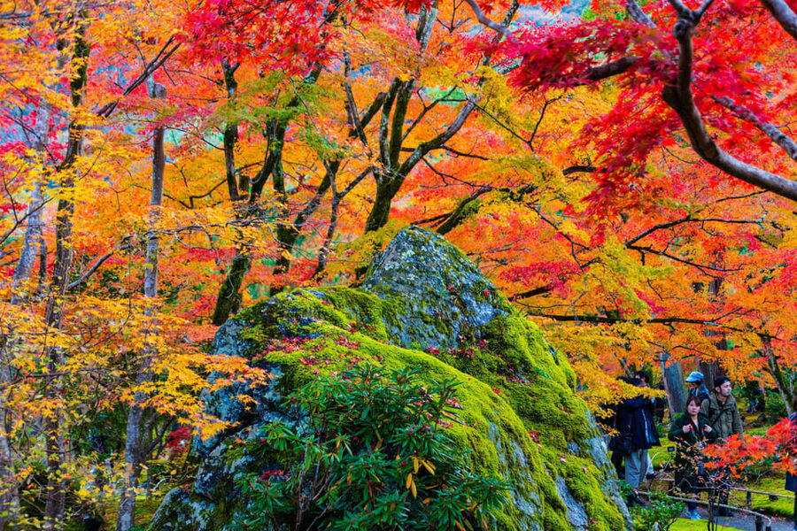 Kyoto: Arashiyama Tour with optional Sagano Romantic Train - Why Arashiyama works well in a half-day
