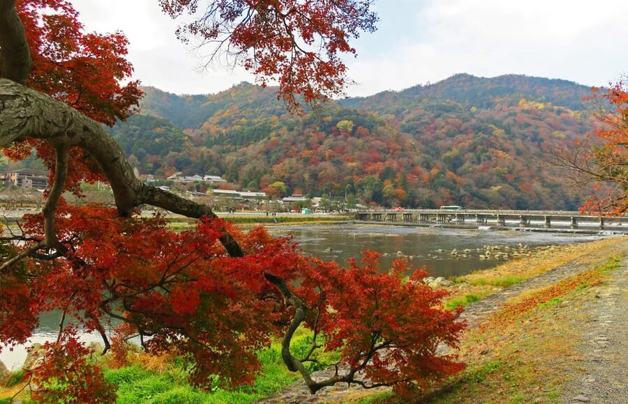 Kyoto: Arashiyama Tour with optional Sagano Romantic Train - Tenryu Temple and its Zen gardens