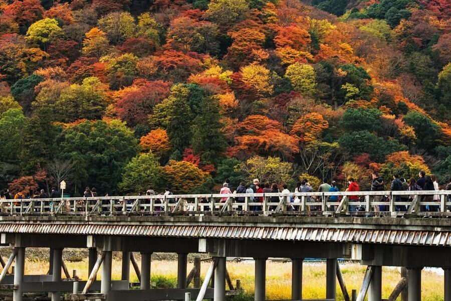 Kyoto: Arashiyama Tour with optional Sagano Romantic Train - Mikami Shrine and the meaning behind the stop