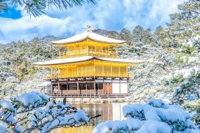Kyoto Sagano Romantic Train in Arashiyama Bus Tour - Is $156.55 a fair price?