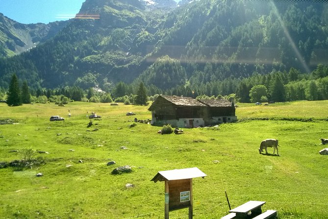 Lake Como, Swiss Alps and Bernina Train From Milan - Who will enjoy this tour most