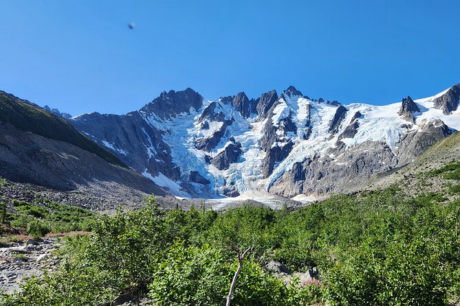 Laughton Glacier Hike and White Pass Rail Adventure - The Return Walk and Ride Back to Skagway