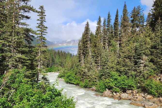 Laughton Glacier Hike and White Pass Rail Adventure - Who Will Enjoy This Day Most?