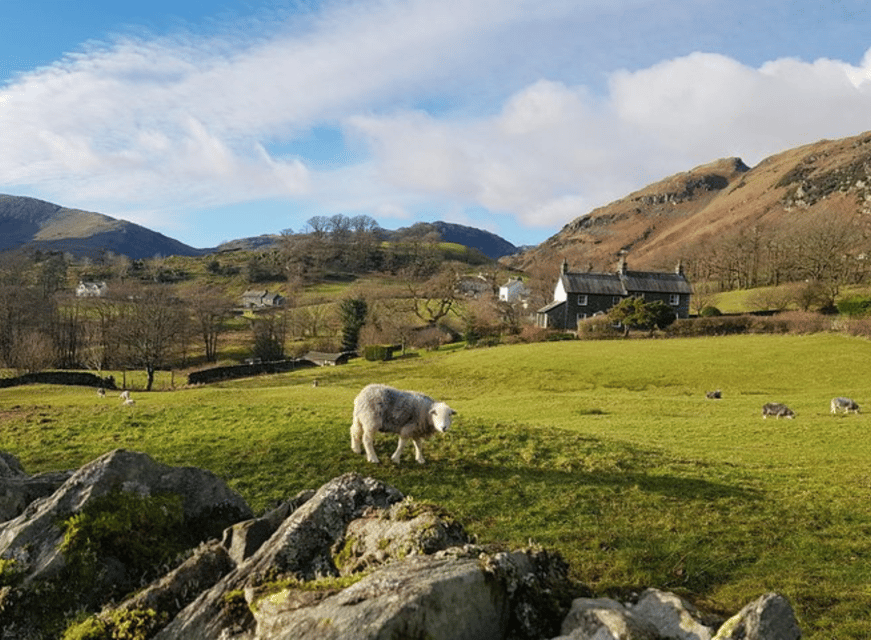 Liverpool: Lake District Tour with Lake Cruise & Train Ride - Key points to know before booking