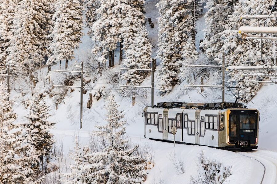 Lucerne: Boat Trip, Mount Rigi Train, & Mineral Baths Ticket - What the $185 price gets you