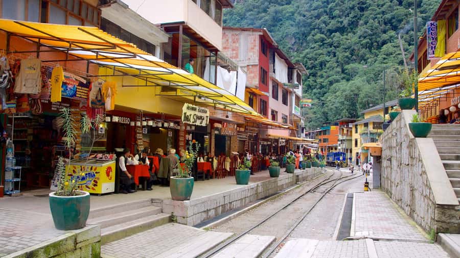 Machupicchu tour by tourist train in 2 days - Who should book this tour?
