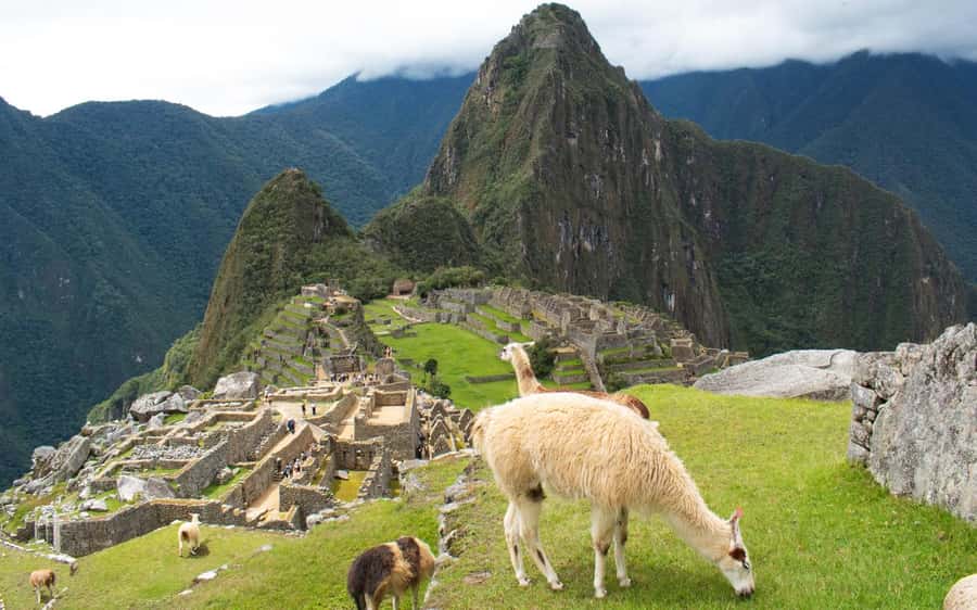 Machupicchu tour by tourist train in 2 days - Group size, guide style, and timing