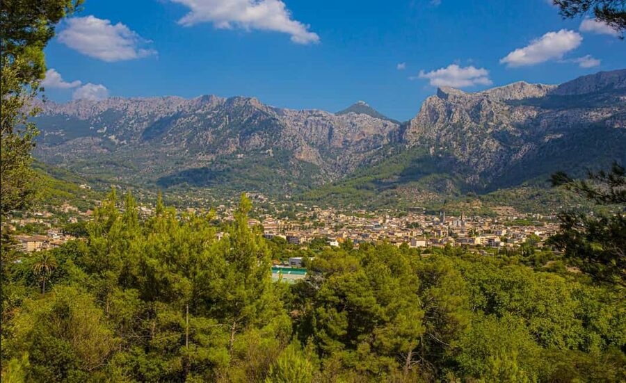 Mallorca: Exclusive Soller Train and Tram Half-Day Tour - How much value does the $67 price offer?