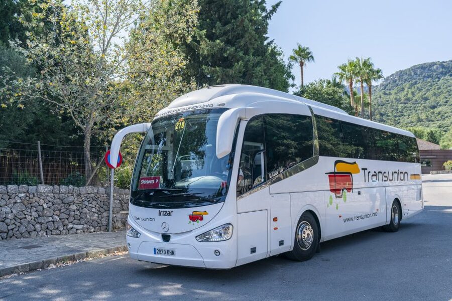 Mallorca: Island Tour with Boat, Tram & Train from the South - Who should book this Mallorca day trip?