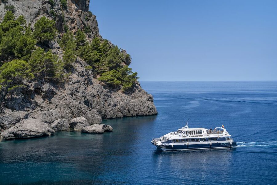 Mallorca: Island Tour with Boat, Tram & Train from the South - Sóller, its tram, and the wooden train