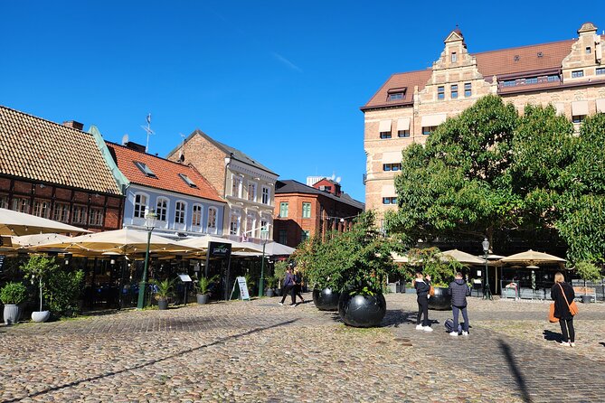 Malmo Highlights in 4 Hours - Train & Fika Included - Fika at Ruths brings the tour together