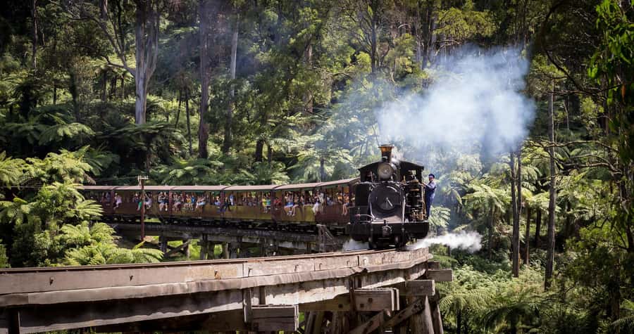 Melbourne: Half-Day Puffing Billy Steam Train Experience - What to bring and what to leave behind