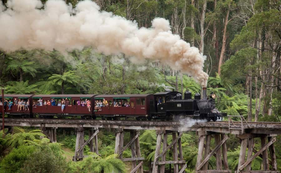 Melbourne: Half-Day Puffing Billy Steam Train Experience - Should you book the Puffing Billy half-day tour?