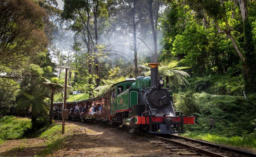 Melbourne: Penguin Parade Tour with Puffing Billy Train Ride - Puffing Billy through the Dandenong Ranges