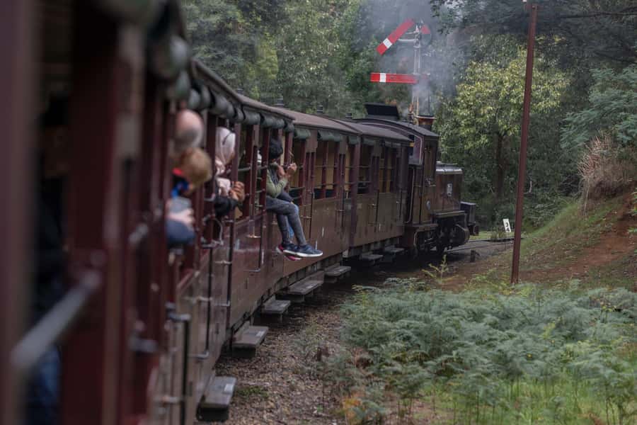 Melbourne: Puffing Billy Railway & Penguin Parade Day Tour - Food, spending, and what to pack
