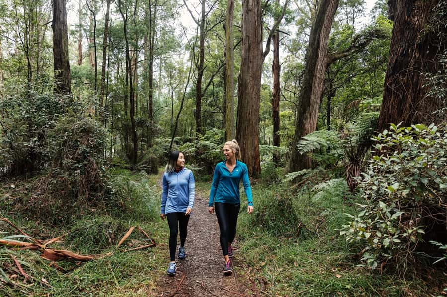 Melbourne: Puffing Billy Railway & Rainforest Tour - Is $107 good value?