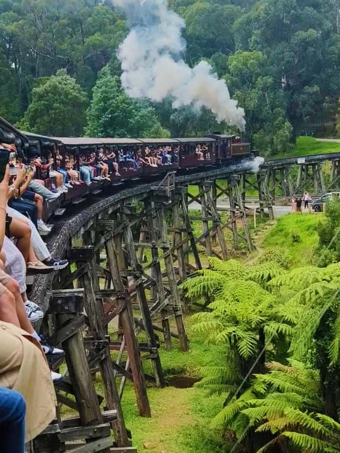 Melbourne: Puffing Billy Train and Penguin Island Day Tour - Puffing Billy brings old rail travel back to life
