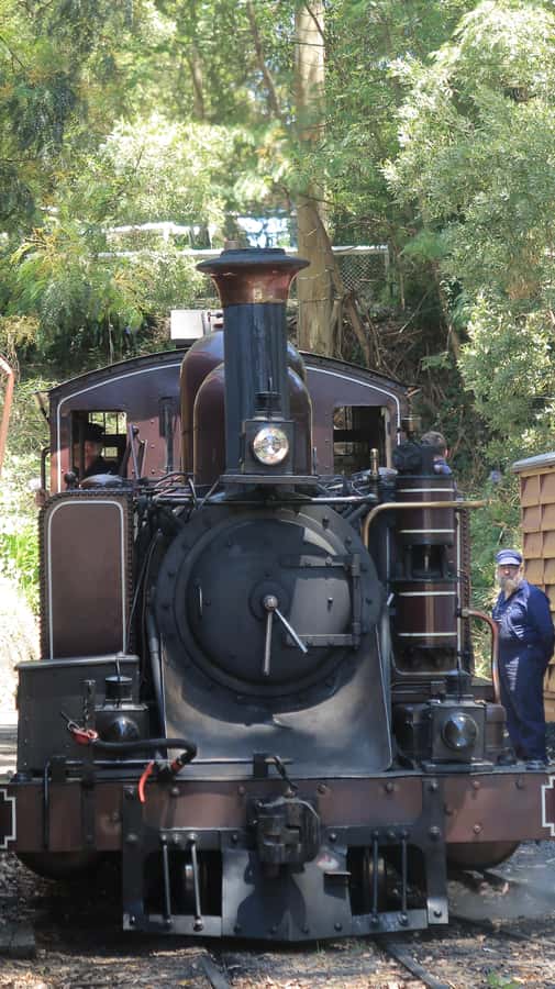 Melbourne: Puffing Billy Train and Penguin Island Day Tour - Maru Koala and Animal Park is an optional extra