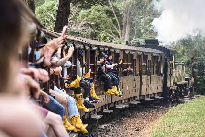 Melbourne Puffing Billy Train and Penguin Parade Day Tour Escape - Meeting Australian wildlife at Maru