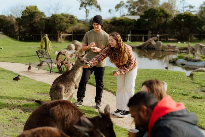 Melbourne Puffing Billy Train and Penguin Parade Day Tour Escape - The vehicle and guide can shape the day